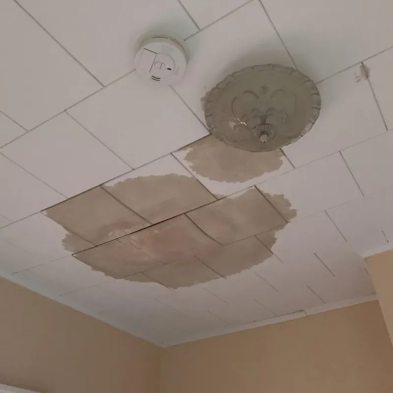 Ceiling Water Damage Repair in Forestdale, MA